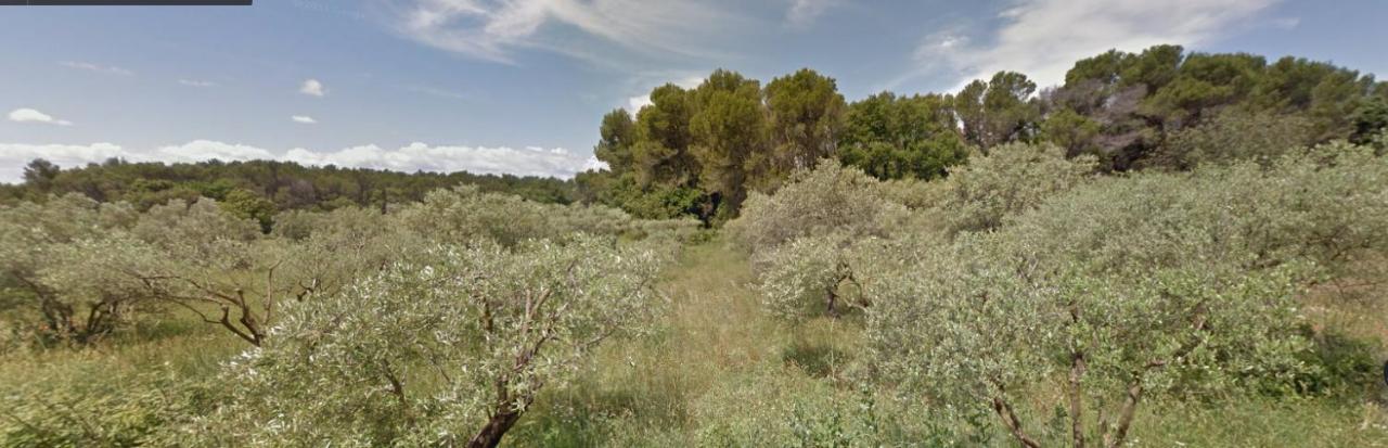 Bed and Breakfast La Bousquatiere Piolenc Екстер'єр фото