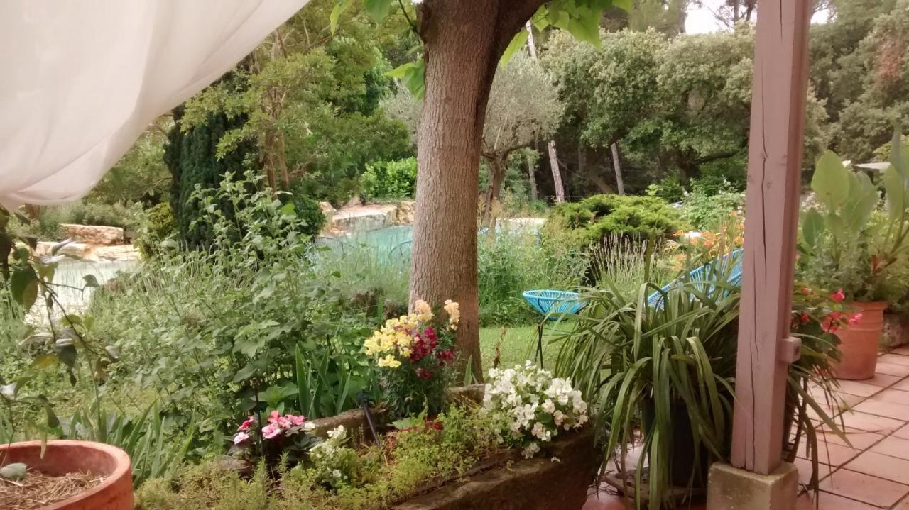 Bed and Breakfast La Bousquatiere Piolenc Екстер'єр фото