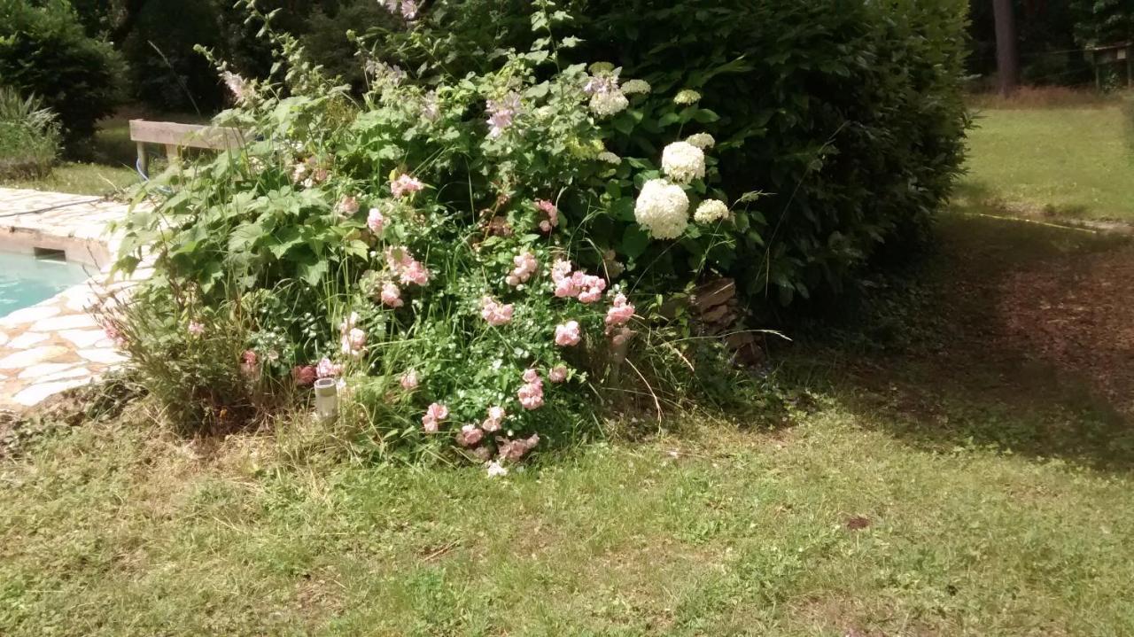 Bed and Breakfast La Bousquatiere Piolenc Екстер'єр фото