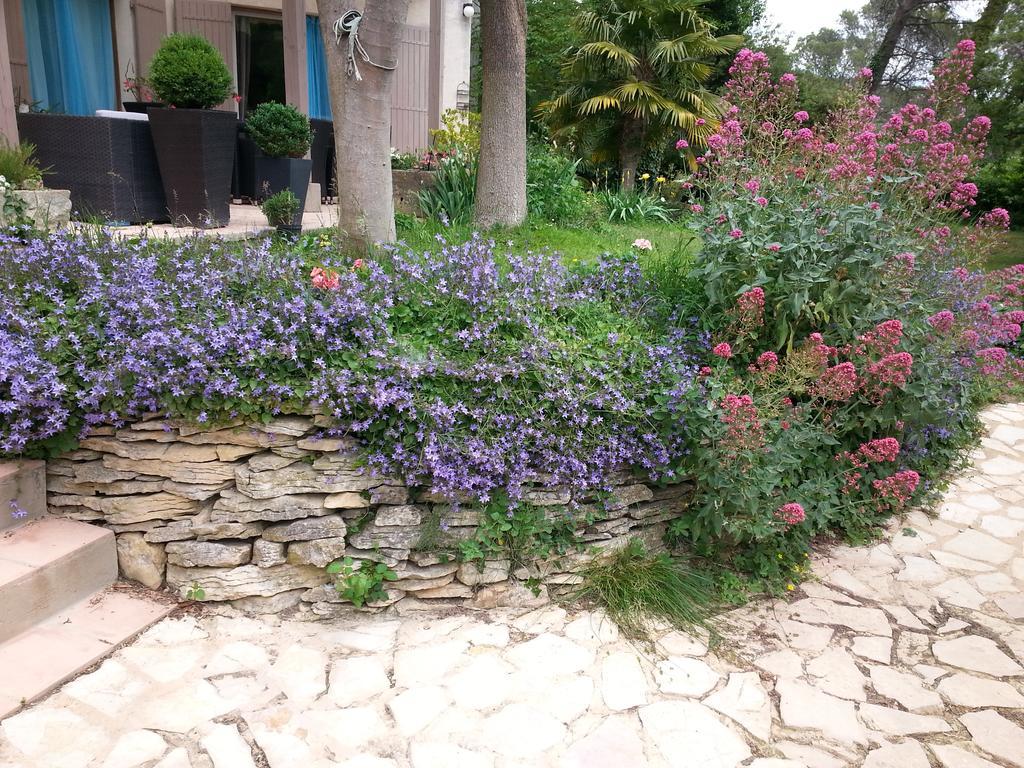 Bed and Breakfast La Bousquatiere Piolenc Екстер'єр фото