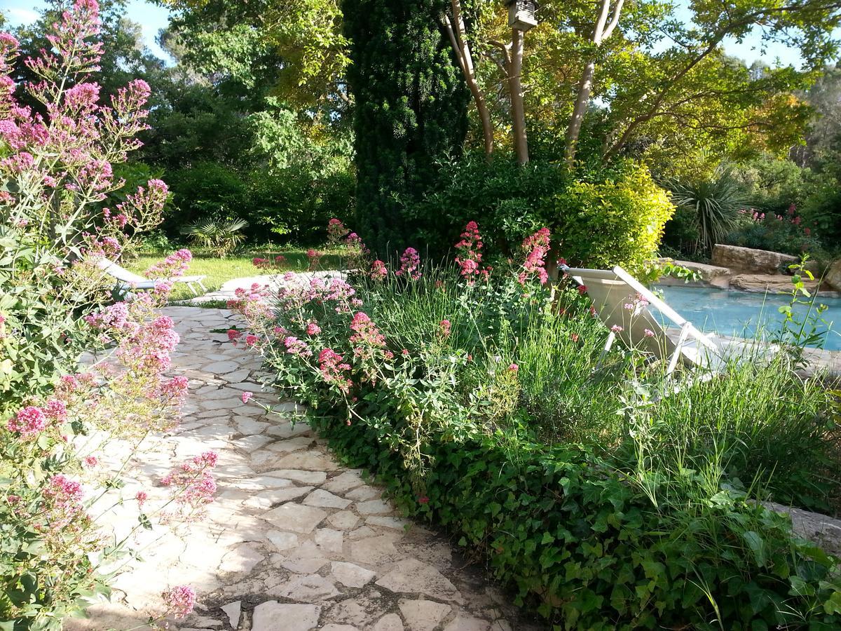 Bed and Breakfast La Bousquatiere Piolenc Екстер'єр фото